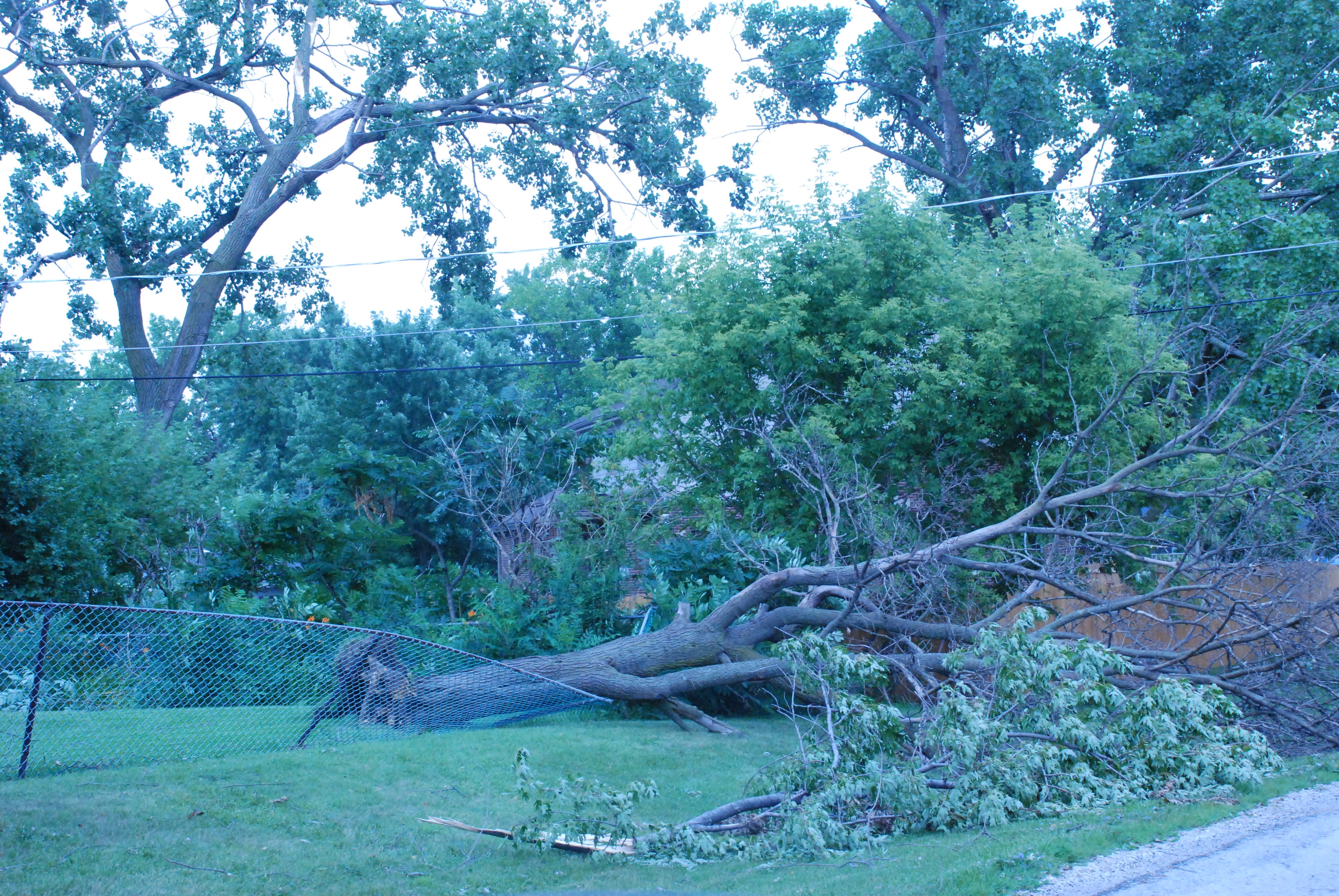 Photo showing damage from the Orland Park tornado