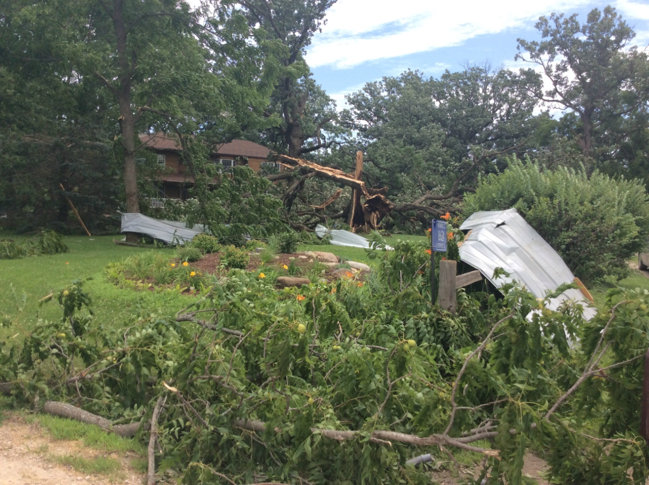 Photo showing damage from a tornado near southwest Kendall County. Large tree branches are broken.