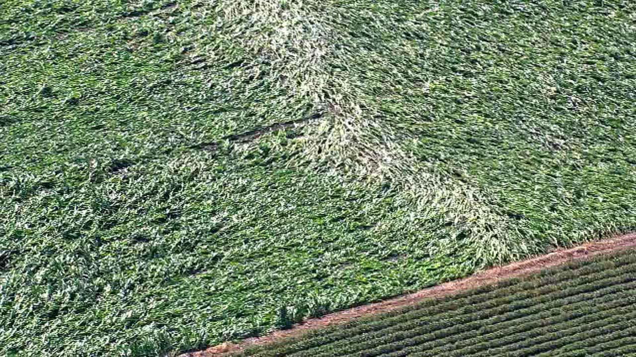 Photo showing damage from a tornado near Earlville. Aerial imagery shows a convergent path in a field.