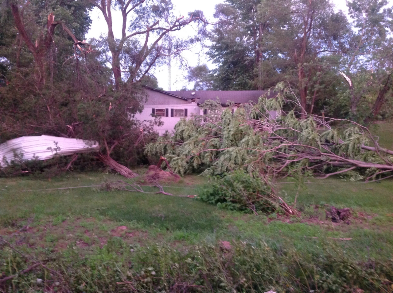 Photo showing damage from a tornado near De Motte. A tree is uprooted.