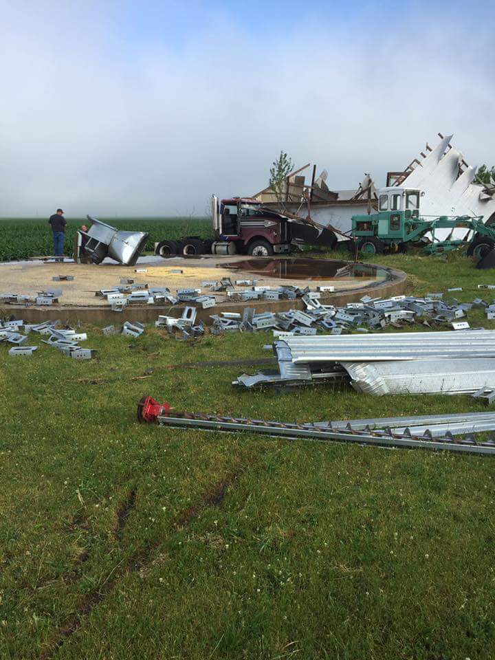 Photo showing damage to trees and outbuildings from Clifton tornado