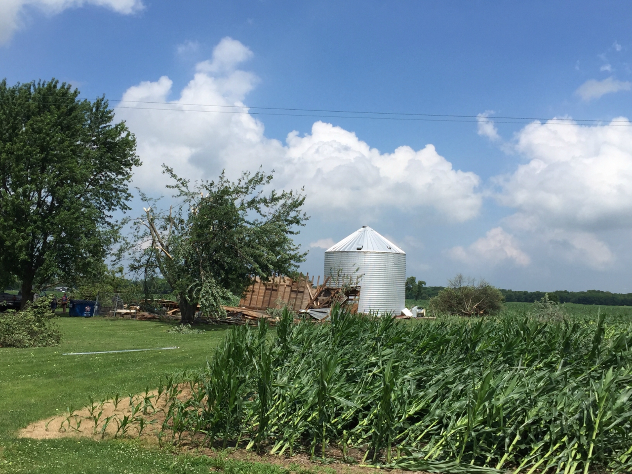 Photo showing damage to crops from Mazon tornado