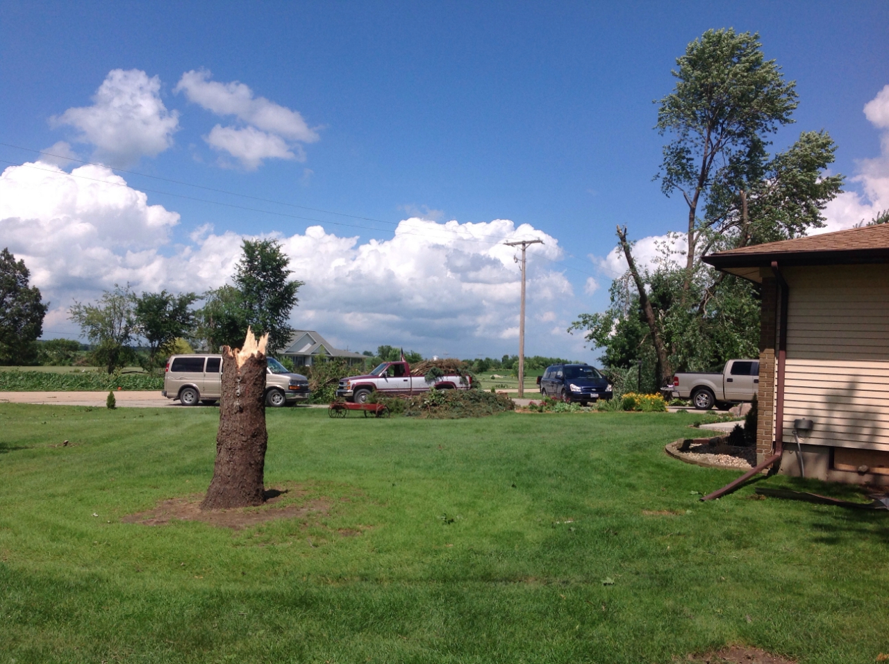 Photo showing tree damage from Earlville tornado