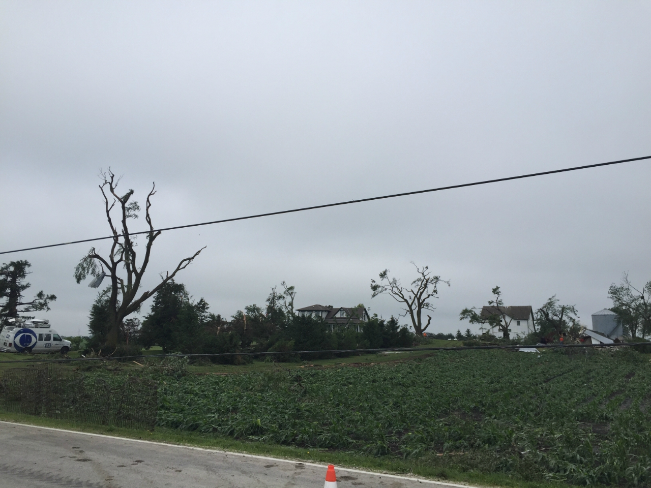 Photo showing tree damage from Dayton tornado