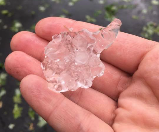 Hail photo from William Bell in Oswego, IL