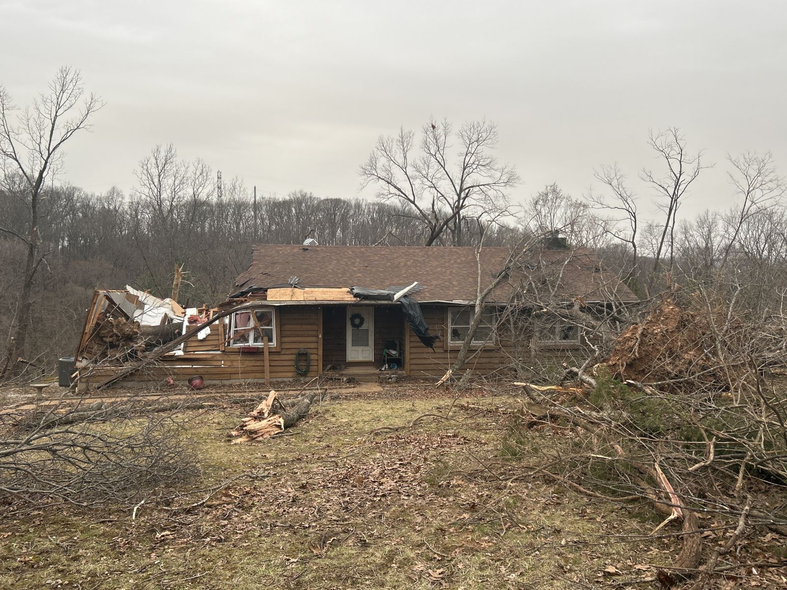 Photo of damaged home with tree damage