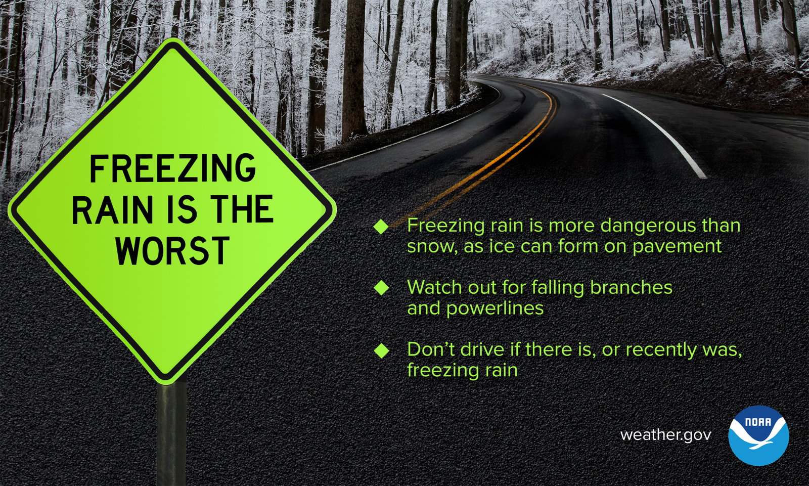 A wet paved road through a snowy woods with a neon green street sign in the foreground that says "Freezing rain is the worst". Freezing rain is more dangerous than snow, as ice can form on pavement. Watch out for falling branches and powerlines. Don't drive if there is, or recently was, freezing rain.