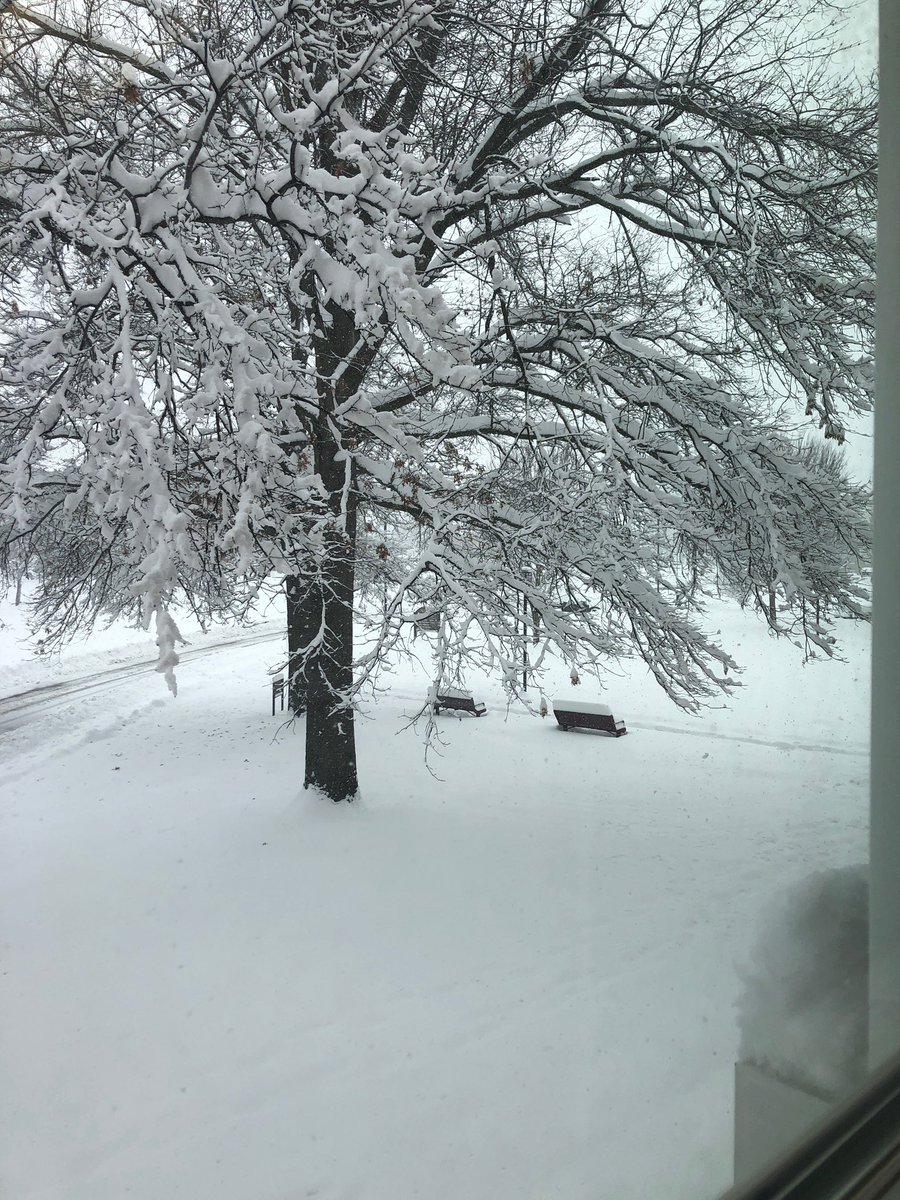 Photo of snow on a tree on the campus of William Woods University in Fulton, MO.