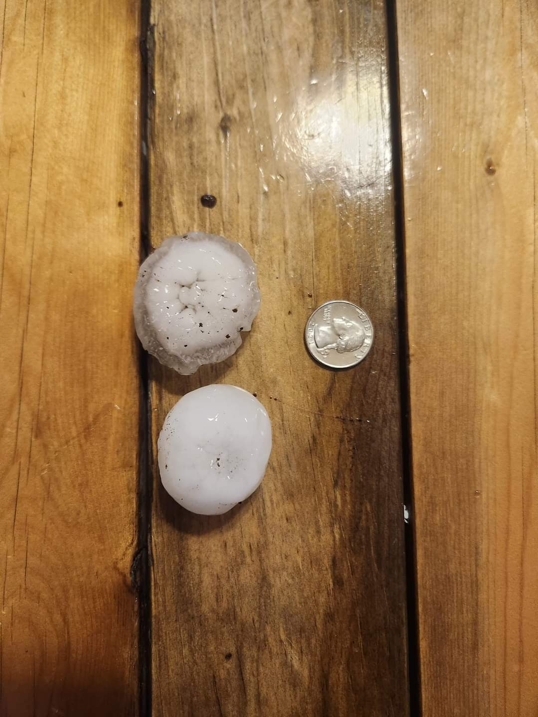Large hail measured to be approximately 2 inches in diameter from Laddonia, MO