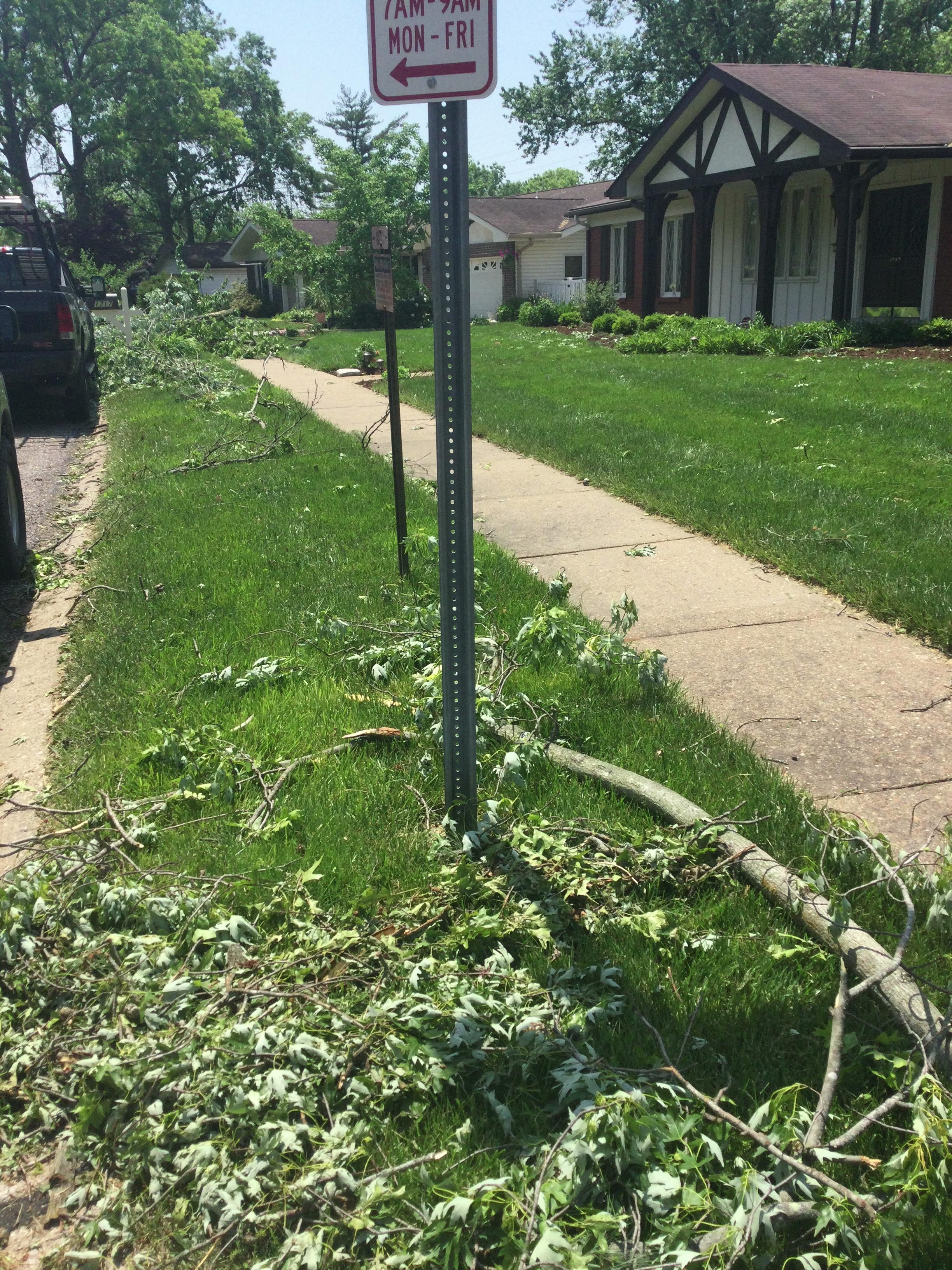 Several branches down along Seven Pines Drive in Creve Coeur near the end of the tornado track.