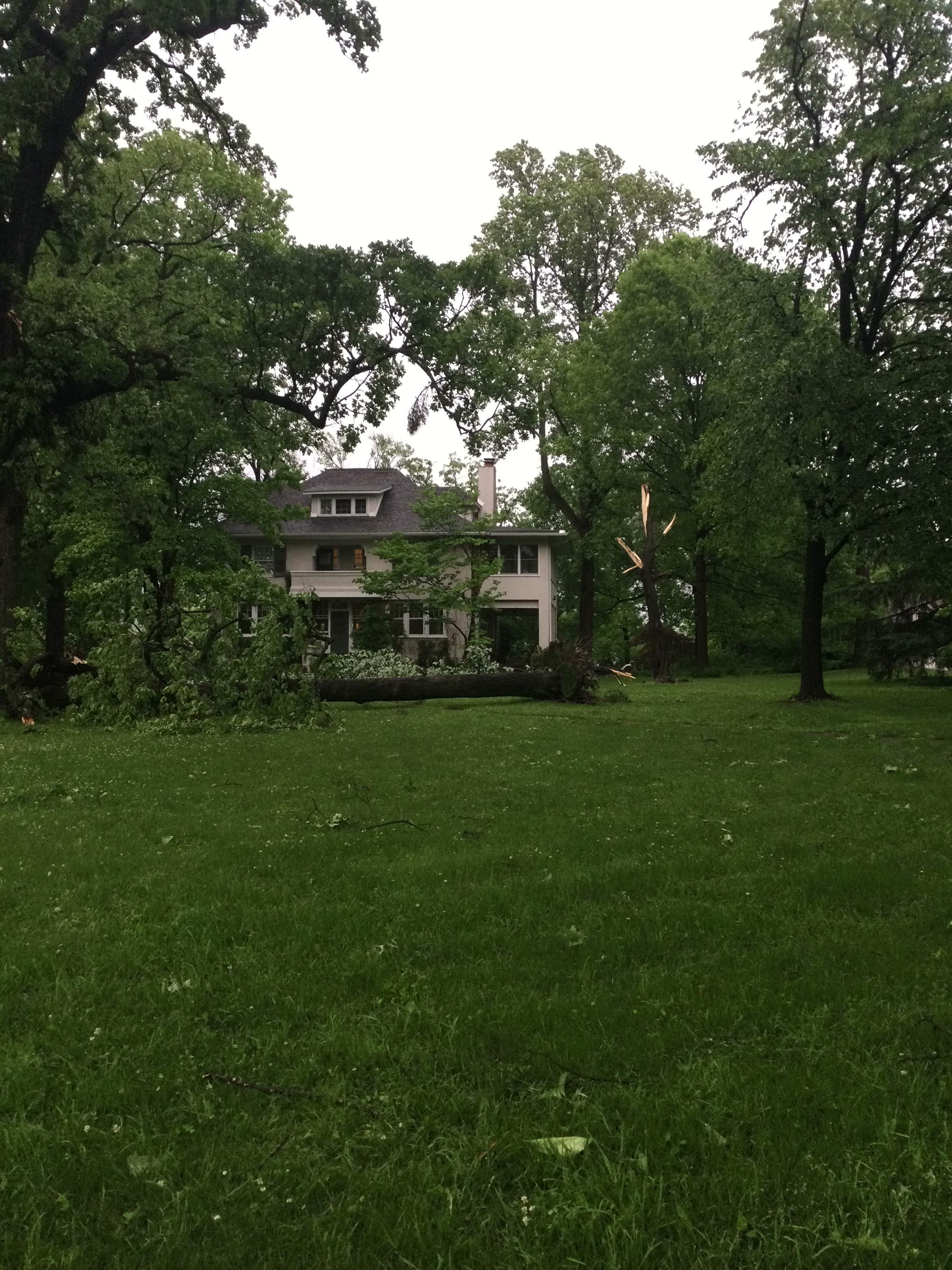 An uprooted tree in front of a house in Kirkwood, MO where a tornado struck.