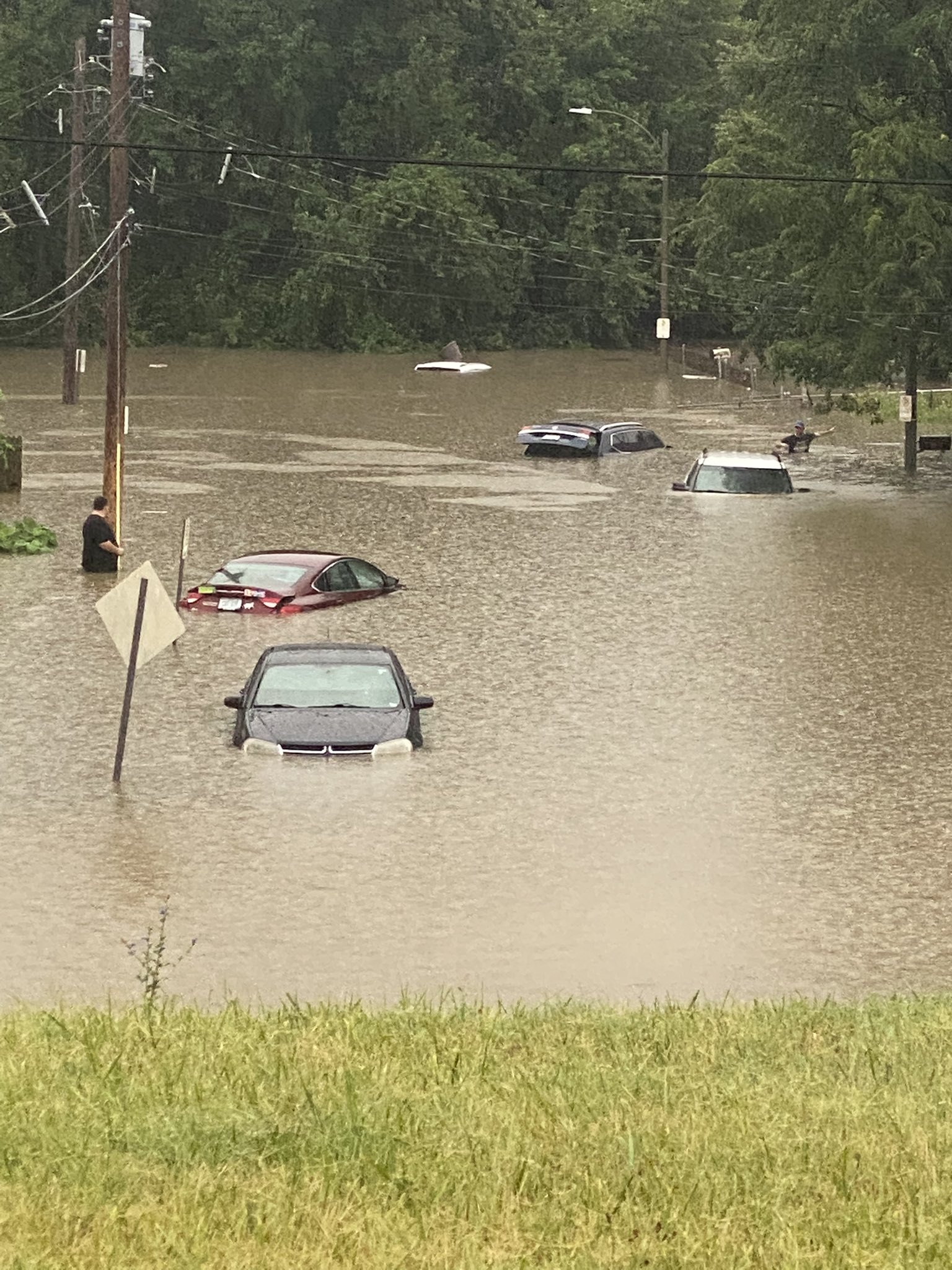 Flooding on Ellendale Avenue in St. Louis, MO.