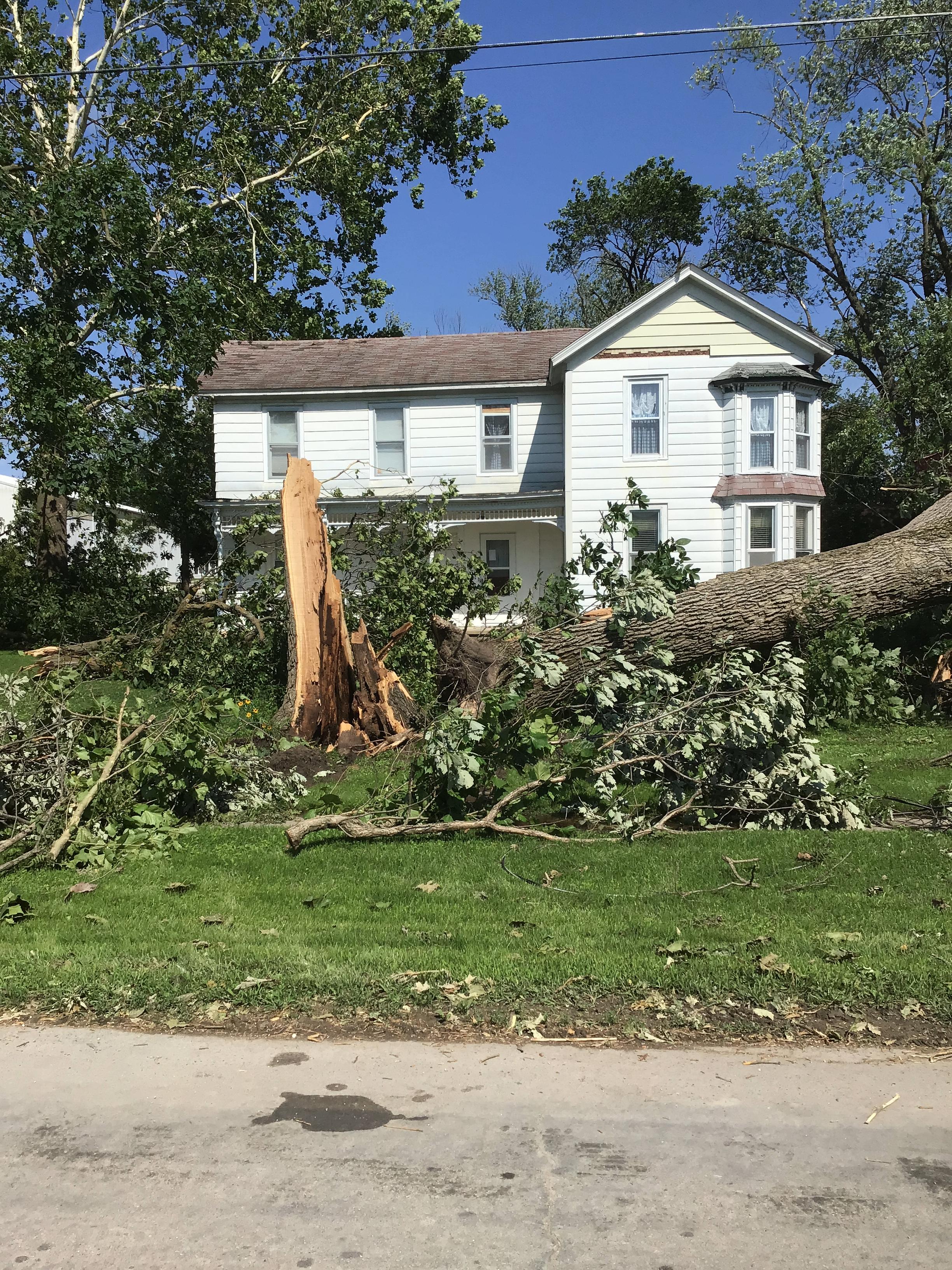 Photo of a large tree that was snapped of at the base in Perry, MO.