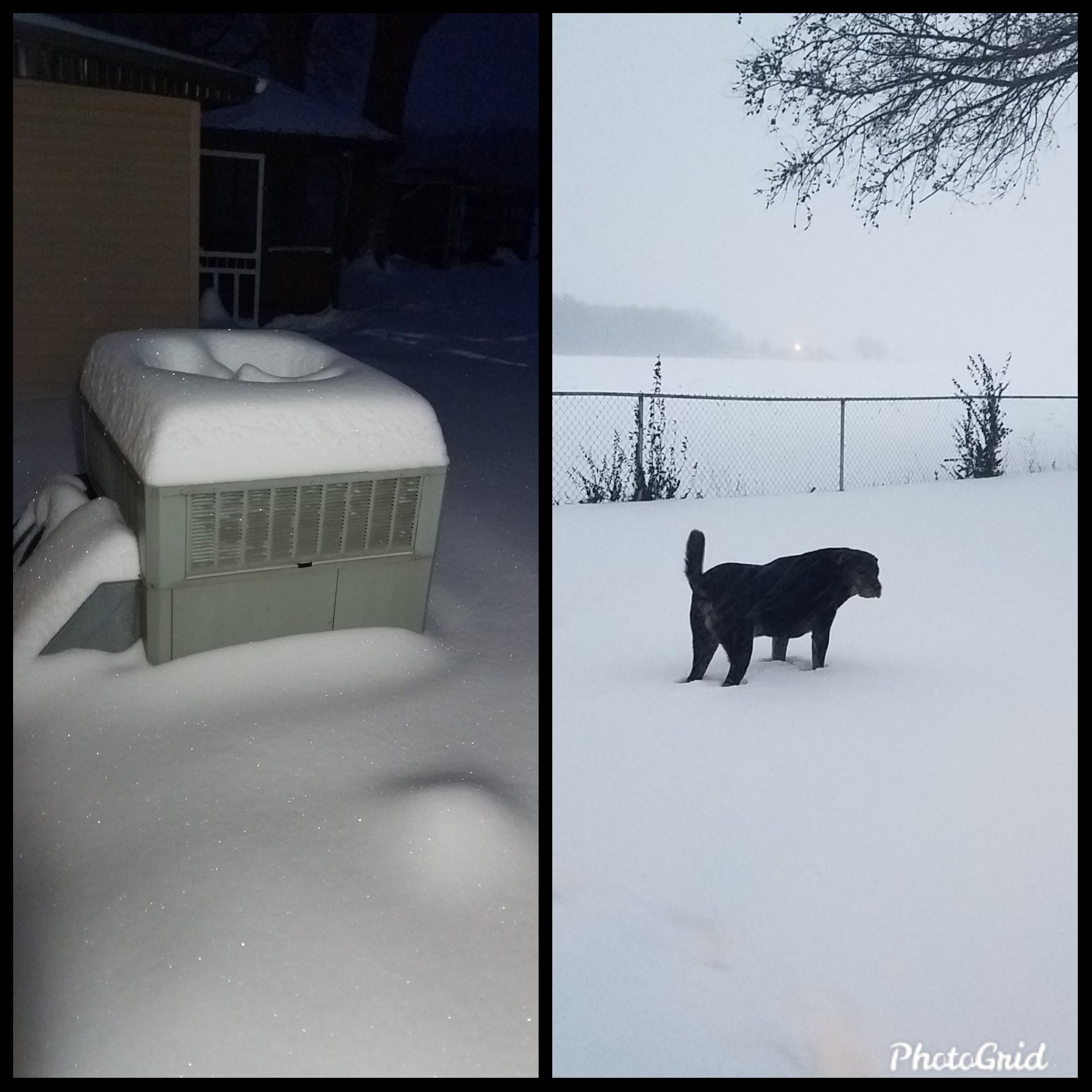 Photos of snow accumulation on an A/C unit and a dog walking in the deep snow.