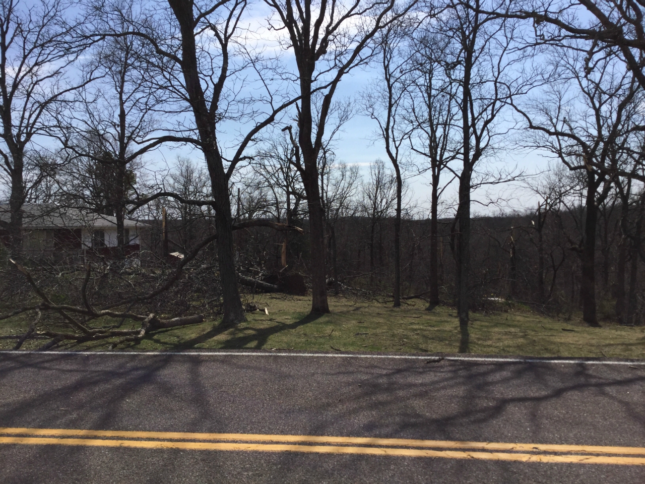 Photo of trees uprooted and a few snapped off on Ridge Road just east of intersection with Dittmer Ridge Road.