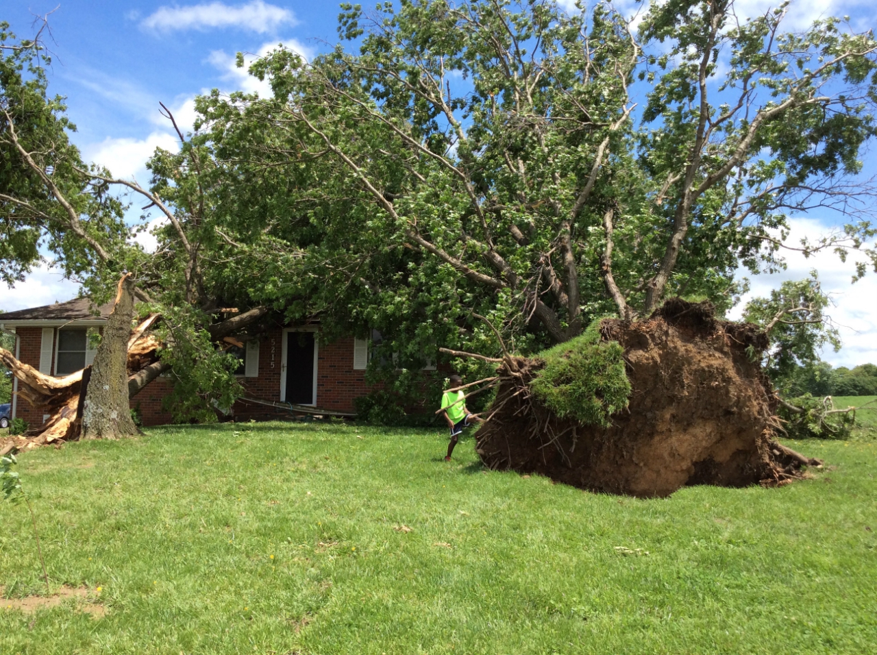Photo of large tree uprooted and fell onto house on Wardsville Road.