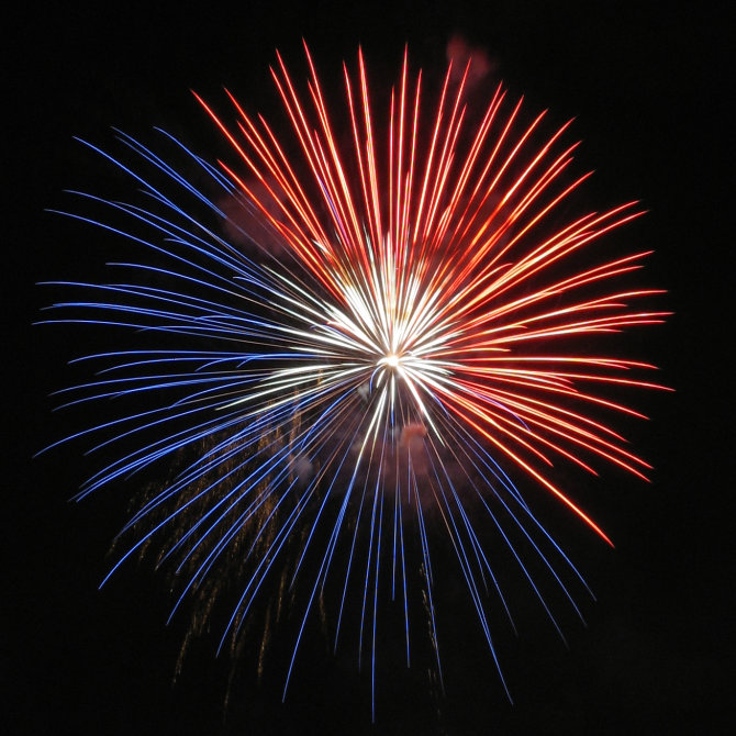 Image of a firework bursting in the air.