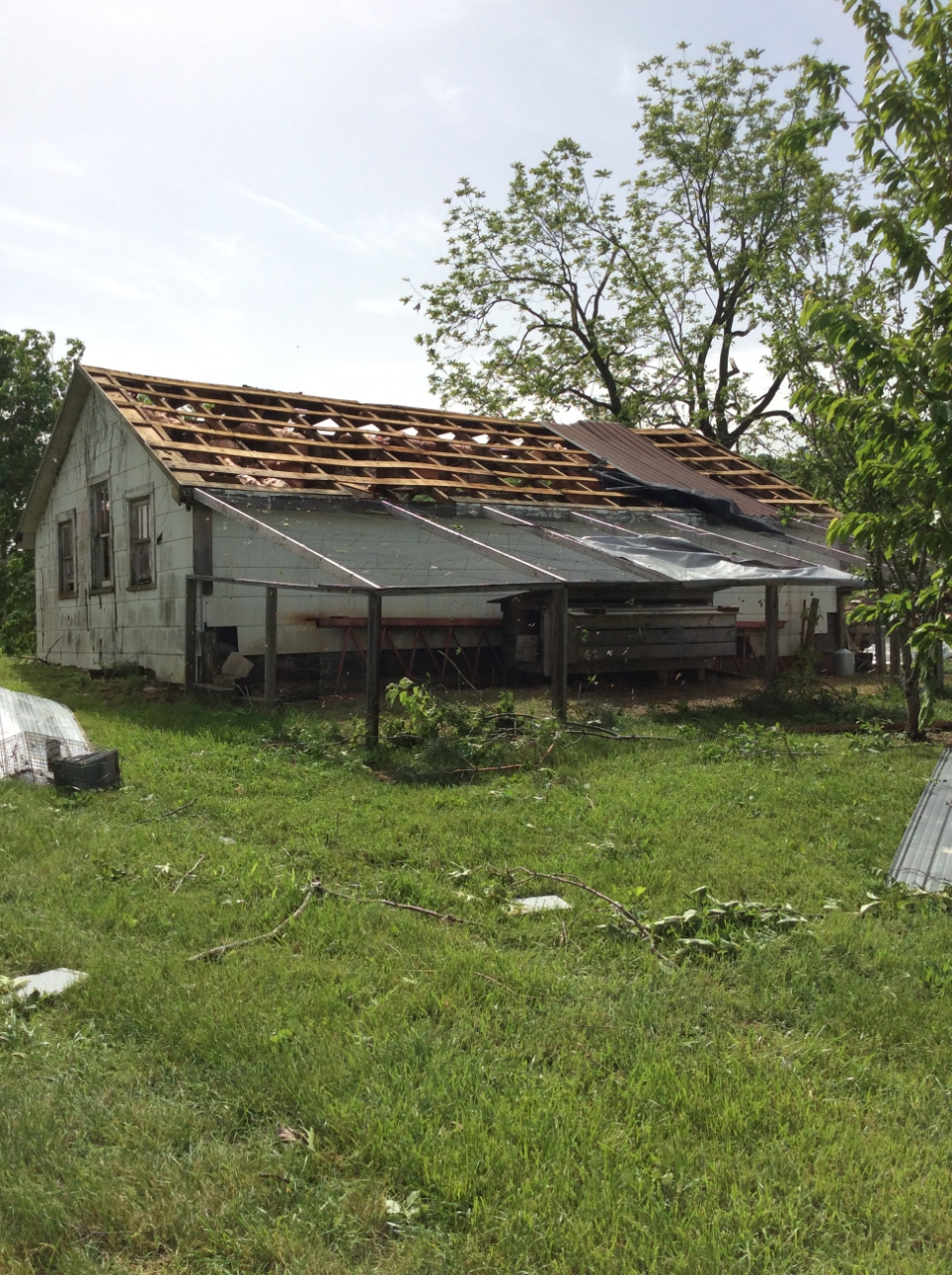 Photo of major roof damage to barn.