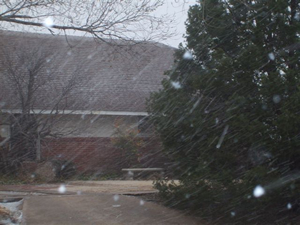 picture of snow in Muleshoe