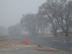 Picture of snow in Muleshoe