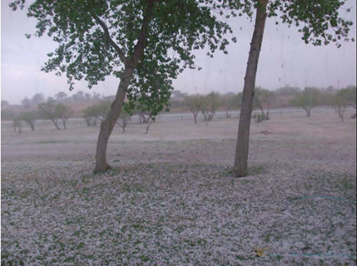 Another view of the hail that fell in White River Lake on 26 April 2008. Click on the image for a larger view. Image courtesy of Tim Walker.