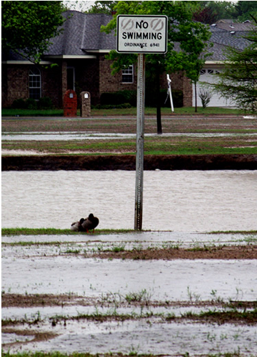 Picture of rainy scenes around the Lubbock area on April 16th