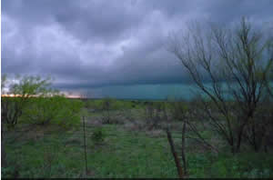 Picture of the tornadic storm on April 22, 2010. Image is courtesy of Ray Lowe.  Click on the picture for a larger view.