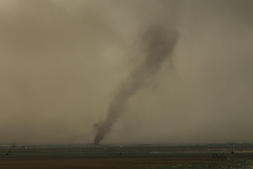 Picture of a gustnado (vortex forming on the leading edge of the gust front) captured 16 miles north of Lockney, Texas, around 6:10 pm on 17 March 2013. The picture is courtesy of Connie Barnett and Chris Martin. Click on the picture for a larger view.