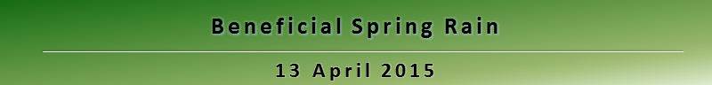 Headline image: Beneficial Spring Rain: 14 April 2015
