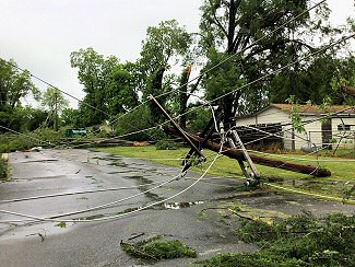 Trees and utility poles were also snapped on 05/08/2019.