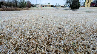 At the North Little Rock Airport (Pulaski County), this was largely a freezing rain event, with ice accruals just over a quarter inch on the trees and in the grass.