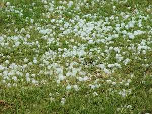 Quarter size hail covered the ground at the National Weather Service in North Little Rock (Pulaski County) during the afternoon of 06/30/2009.