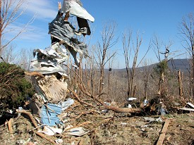 Debris was wrapped around what is left of a tree.