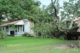 A tree fell into a house about 2 miles east of Griffithville (White County).