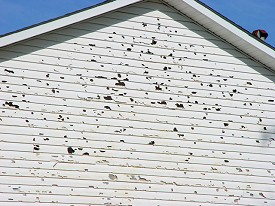 Hail poked holes in the siding of some townhouses in Sherwood (Pulaski County).