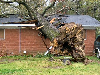 A large tree was blown onto a house in Pine Bluff (Jefferson County).