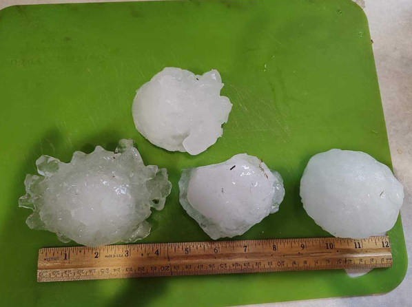 Photo of significant size hail stones measuring three to four inches 3.5 miles NW of Chokio, MN