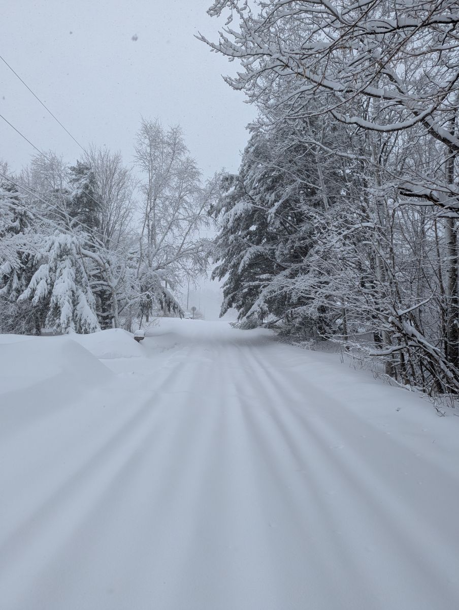 Snowy street in Trowbridge Park