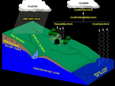 Simplified hydrologic cycle image