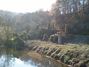 A view of the gage surrounded by kudzu