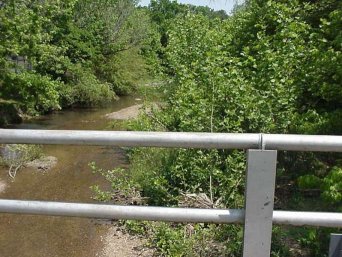 View of Spring Creek in East Ridge, TN in normal flow