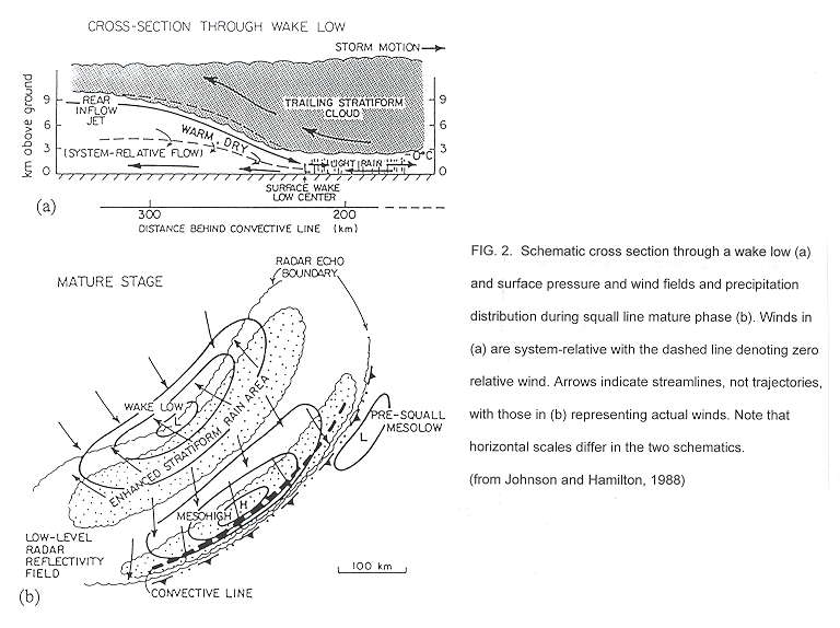 Schematic cross section through a wake low and surface pressure and wind fields and preciptation distribution during squall line mature phase.
