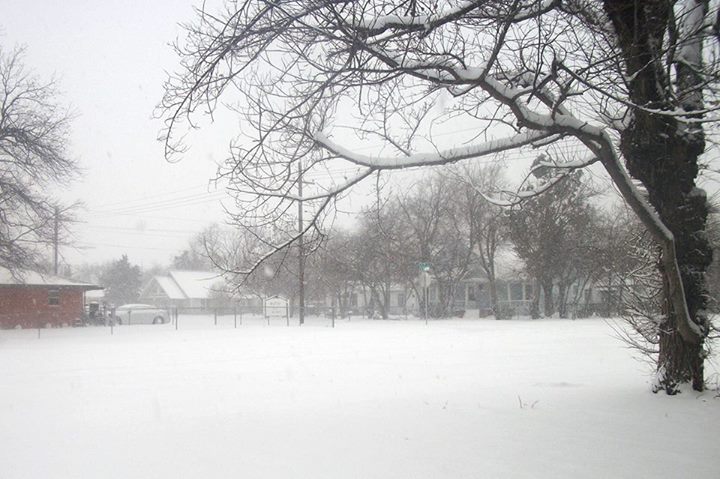 Snowfall Photo
