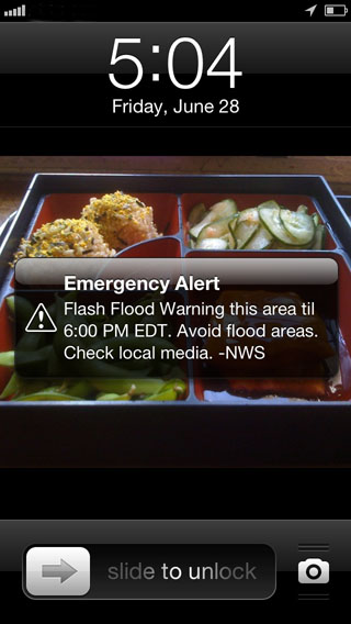 Wireless Emergency Alerts What Are They And How Do They Work 