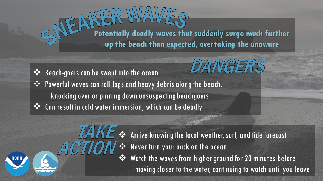 Sneaker/High Waves and Log Rolls Can Be Deadly