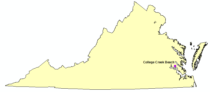 Virginia Surf Fatalities in 2018, see list below