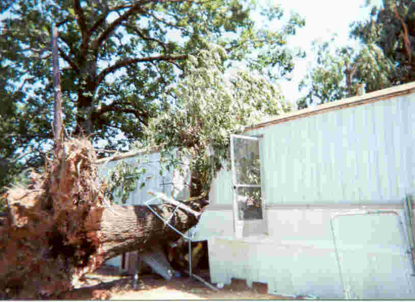 A tree fell on a mobile home in Mansfield, LA
