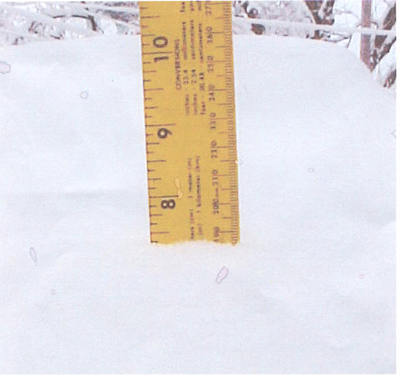 7.5 inches of snow in Ashdown, AR