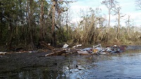 Debris tossed into the Apalachicola River by an EF1 tornado that crossed the river on November 17, 2014. Photo provided courtesy of WJHG-TV.