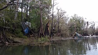 Trees snapped and buildings tossed into the Apalachicola River by an EF1 tornado that crossed the river on November 17, 2014. Photo provided courtesy of WJHG-TV.